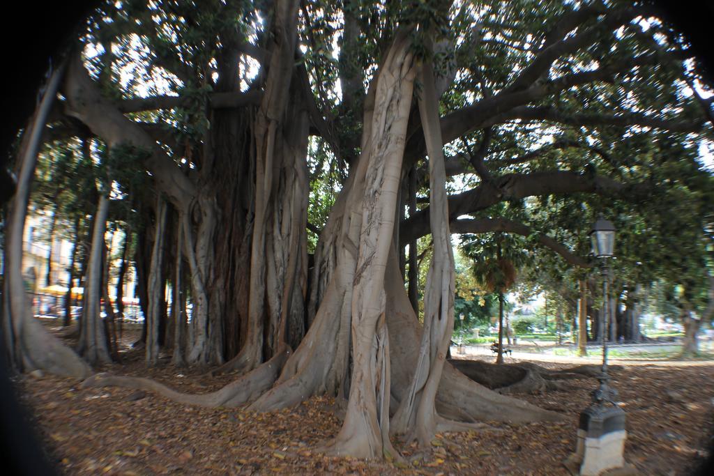 Foresteria Dell' Alloro